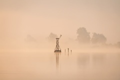 045_Natura-sul-lago- ©Bruno Furi