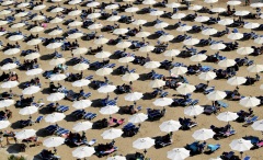 051_Alveare- ©Antonio Ficarola