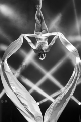 089_Heart- ©Silvia Saccucci