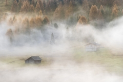178_The-Valley-Breathes- ©Barbara D'Allangelo